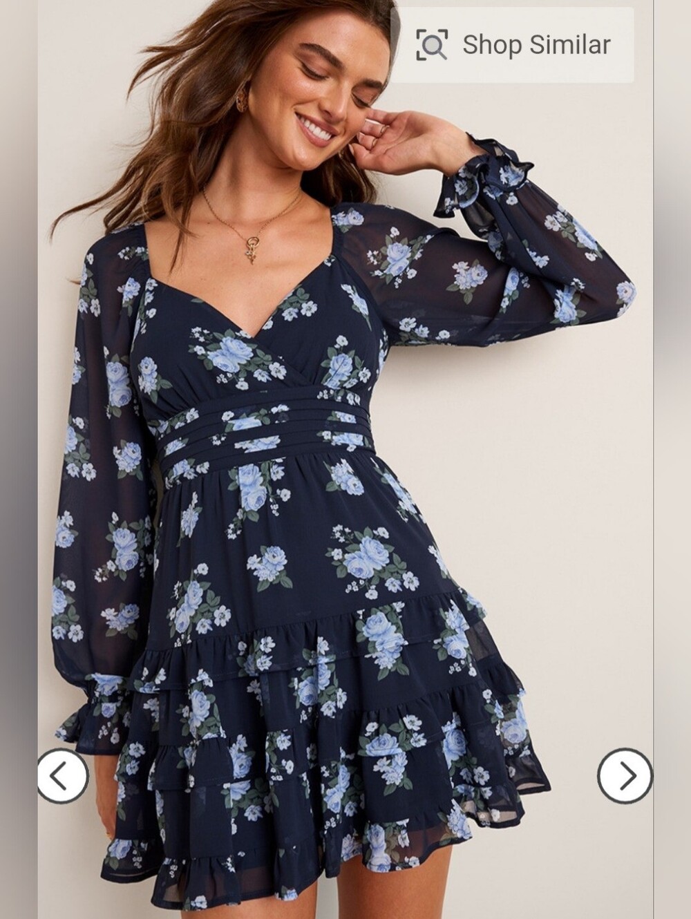 Francesca's Collections Navy B Sheer Floral V-Neck Dress with Light Blue Roses - Picture 3 of 13